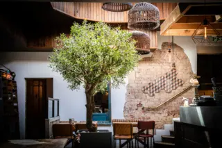 We’re thrilled to have been nominated in the category of “Best Restaurant” at the Harrogate Business Awards 2026. 

The winner is decided by a public vote and, if you love La Feria, it would be lovely if you could take a moment to follow this link and vote for your favourite neighbourhood Spanish restaurant. 

Muchas Gracias!

https://www.nationalworldevents.com/hba-2026/public-vote/
